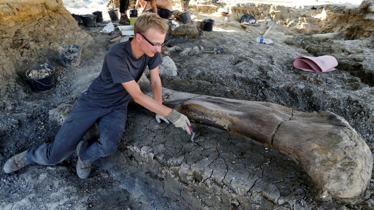 کشف استخوان ۴۰۰ کیلوگرمی یک دایناسور در فرانسه