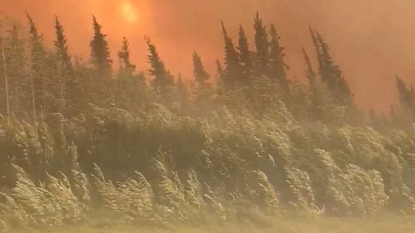 Réchauffement climatique : un cercle vicieux Réchauffement climatique : un cercle vicieux