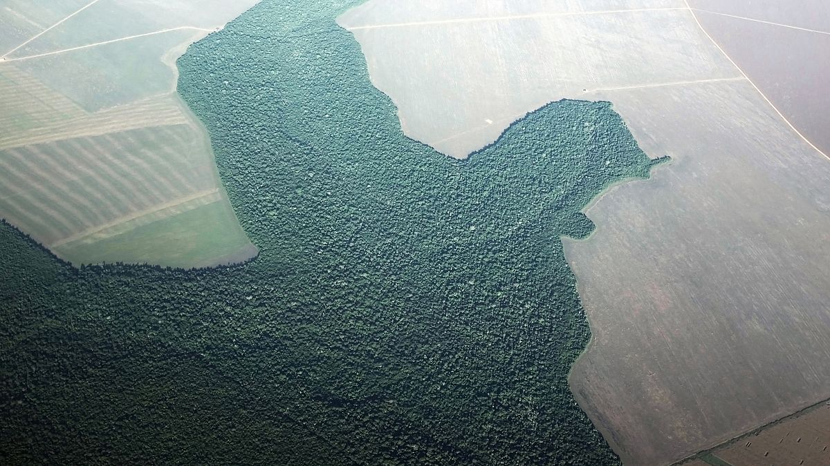 Az amazóniai esőerdő írtásának egy képe 2013 áprilisából