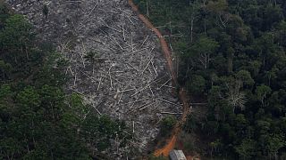 La Amazonía se destruye a tres campos de fútbol por minuto