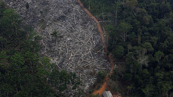 La Amazonía se destruye a tres campos de fútbol por minuto La Amazonía se destruye a tres campos de fútbol por minuto