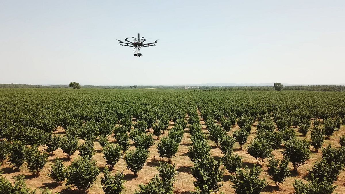 Robot e droni per ridurre gli sprechi dei terreni agricoli di grandi dimensioni