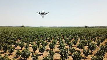 Robot e droni per ridurre gli sprechi dei terreni agricoli di grandi dimensioni