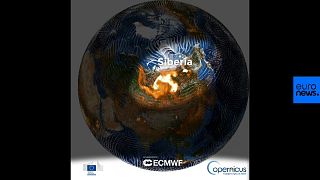 Watch: This animation shows CO2 impact of unprecedented wildfires in Siberia and Alaska