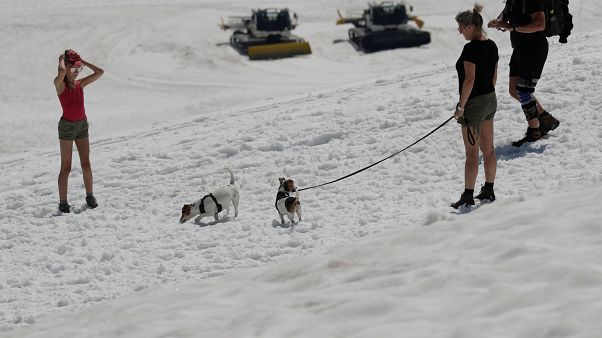 En quête de fraîcheur au sommet du glacier du Dachstein En quête de fraîcheur au sommet du glacier du Dachstein