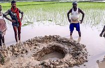 فرود آمدن یک شهاب‌واره‌ در یک شالیزار در هند