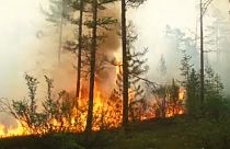 Milhões de hectares em fogo na Rússia