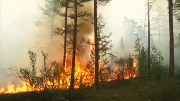 Hohe Flammen und dichter Smog: Waldbrände in Sibirien nehmen kein Ende Hohe Flammen und dichter Smog: Waldbrände in Sibirien nehmen kein Ende