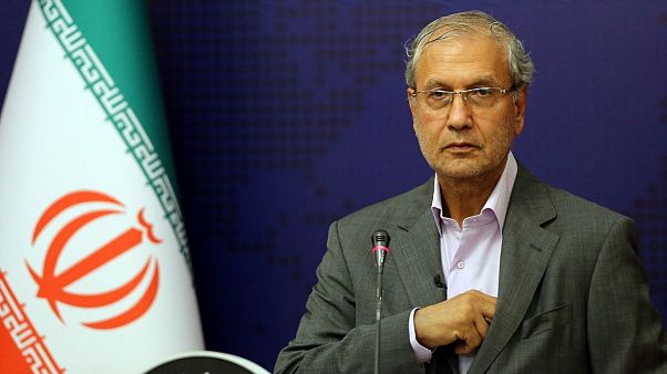علی ربیعی، سخنگوی دولت ایران علی ربیعی، سخنگوی دولت ایران
