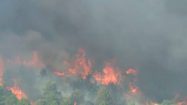 Croazia: l'incendio invade l'autostrada, 900 ettari in fiamme Croazia: l'incendio invade l'autostrada, 900 ettari in fiamme