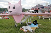 Розовый кот летает и плавает