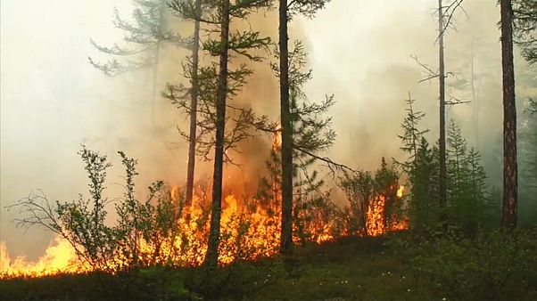Il Circolo Polare Artico in fiamme Il Circolo Polare Artico in fiamme