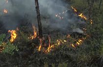 #Сибирьгорит: почему ситуация стала безнадежной?