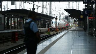 رجل شرطة يؤمن محطة القطار الرئيسية في فرانكفورت، ألمانيا، 29 يوليو 2019