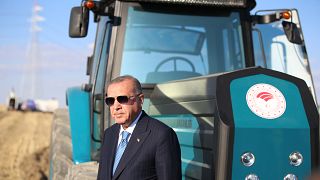 Türk tarımının rekabet gücü: Traktör (mü?) 