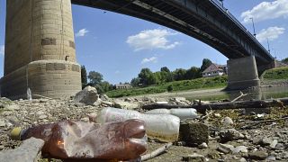 Szombaton indul a Felső-Tiszán a PET-kupa, önkéntesek tisztítják meg a folyót a szeméttől