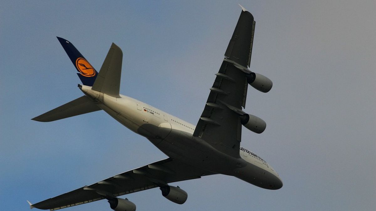 Billigflieger plagen Lufthansa: Gewinneinbruch und düsterer Ausblick