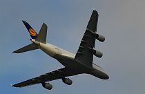 Billigflieger plagen Lufthansa: Gewinneinbruch und düsterer Ausblick