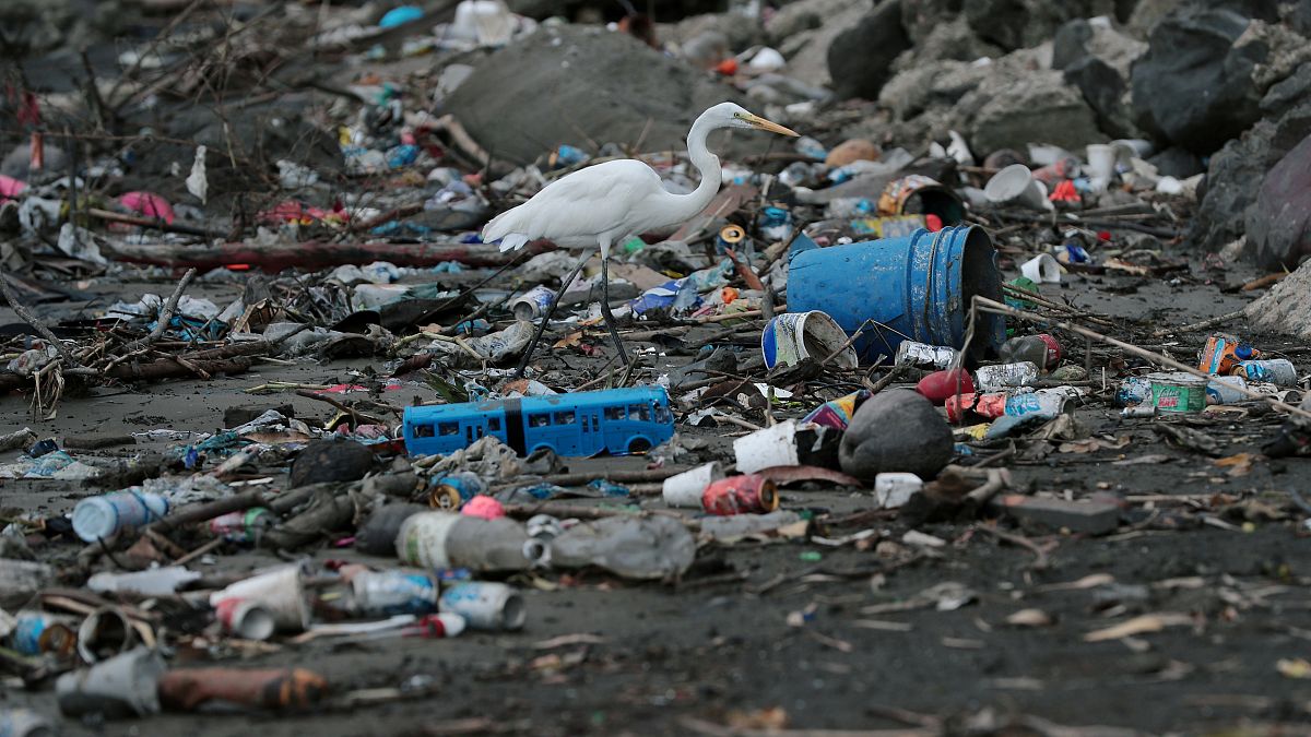 Plastic waste 'goes up by 40% during the summer'