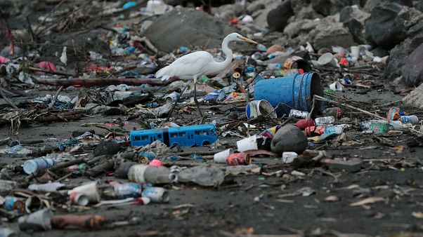 ¿Sería capaz de vivir sin plásticos? En verano consumimos un 40% más ¿Sería capaz de vivir sin plásticos? En verano consumimos un 40% más