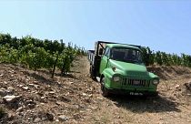 Portogallo: tornano di moda i ruggenti pick up Bedford