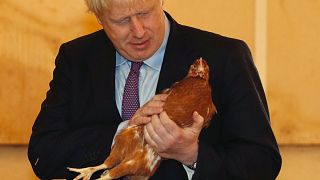 Ein "Eiertanz": Boris Johnson auf Brexit-Werbetour in Wales