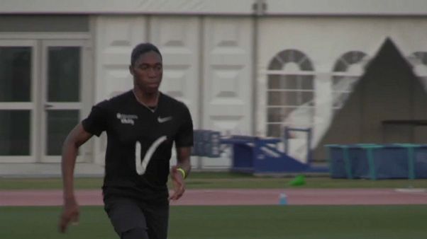 Doha, Semenya non difende titolo: livelli di testosterone troppo alti Doha, Semenya non difende titolo: livelli di testosterone troppo alti