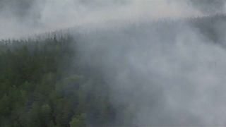 Waldbrände in Russland: Bürger fordern entschiedenes Vorgehen