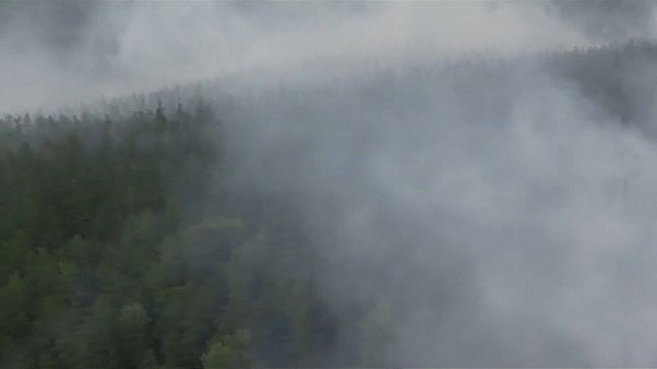 Siberia in fiamme: petizione online di 800 mila russi Siberia in fiamme: petizione online di 800 mila russi