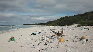 Le plastique étouffe une île paradisiaque du Pacifique