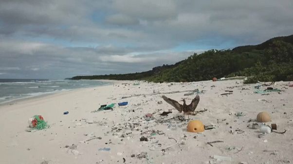Le plastique étouffe une île paradisiaque du Pacifique Le plastique étouffe une île paradisiaque du Pacifique