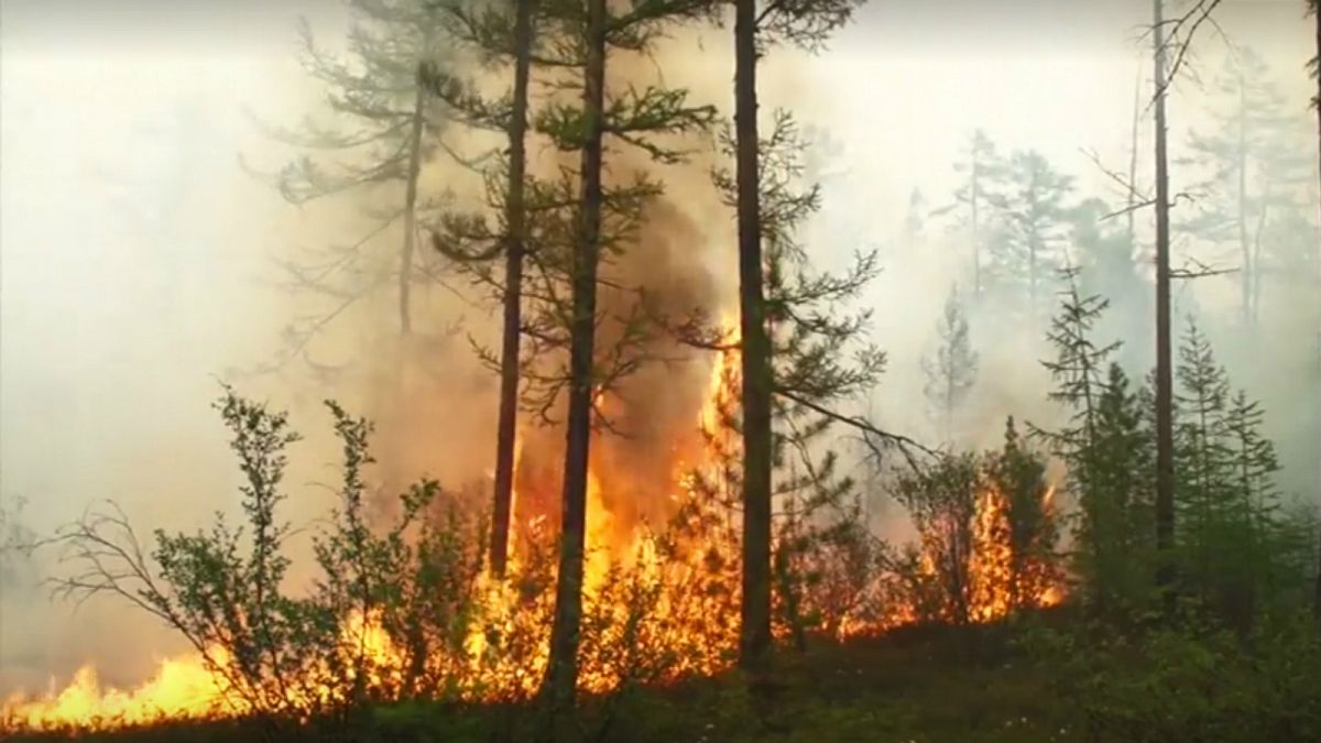 'Low chance' Siberia wildfires will be brought under control ...