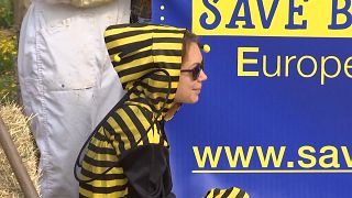 بروکسل؛ اعتراض به استفاده از سموم دفع آفاتی که زنبورهای عسل را می‌کشد