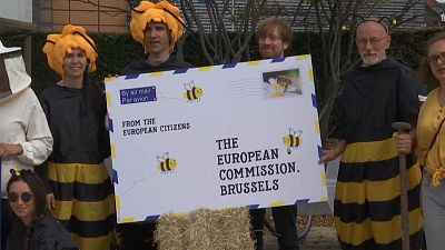 «Спасите пчёл и фермеров»