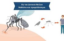 2 νεκροί - 25 κρούσματα από τον ιό του Δυτικού Νείλου