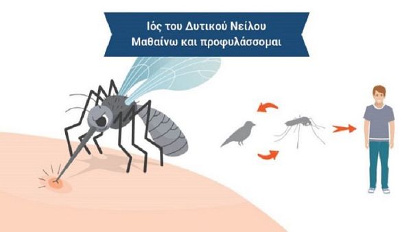 2 νεκροί - 25 κρούσματα από τον ιό του Δυτικού Νείλου 2 νεκροί - 25 κρούσματα από τον ιό του Δυτικού Νείλου