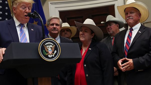 'Tremendous victory': Trump toasts US-EU deal on beef imports 'Tremendous victory': Trump toasts US-EU deal on beef imports