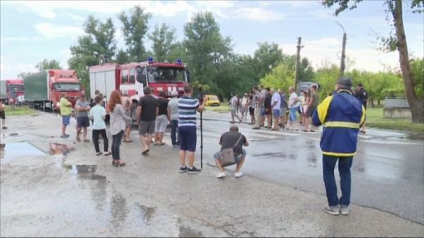 Rechazo entre los búlgaros a sacrificar cerdos Rechazo entre los búlgaros a sacrificar cerdos