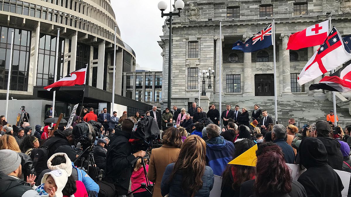 Yeni Zelanda: Yerli halk Maoriler 'çalınan çocukları' için eylem yaptı