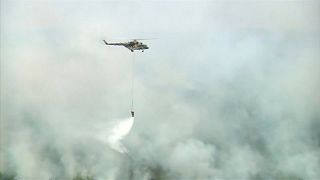 Rus hava kuvvetlerinin müdahalesine rağmen Sibirya'da orman yangınlarının önü alınamıyor