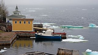 11 € die Flasche Eisberg-Wasser in Kanada: Fischer jagen "weißes Gold"