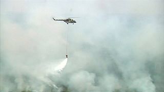 МЧС России: площадь лесных пожаров сокращается