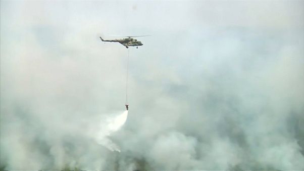 Waldbrände in Sibirien: Erste Erfolge Waldbrände in Sibirien: Erste Erfolge