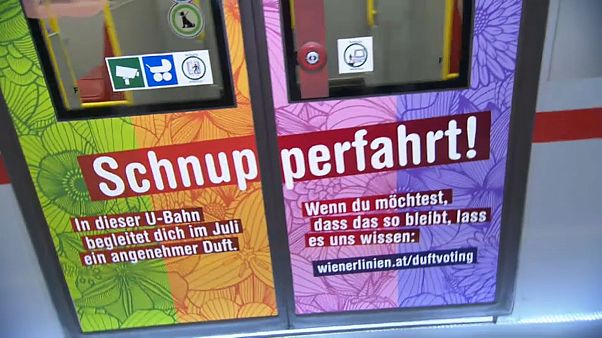 Wiener Schnupperfahrt beendet: Doch keine Duftzüge Wiener Schnupperfahrt beendet: Doch keine Duftzüge