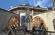 Grupos ecologistas exigen medidas de protección por la contaminación en Notre Dame