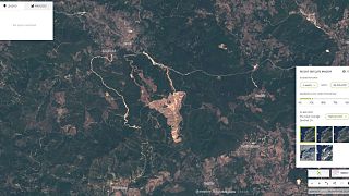 Türkiye'de orman alanı kaybı 2018'de zirveye çıktı