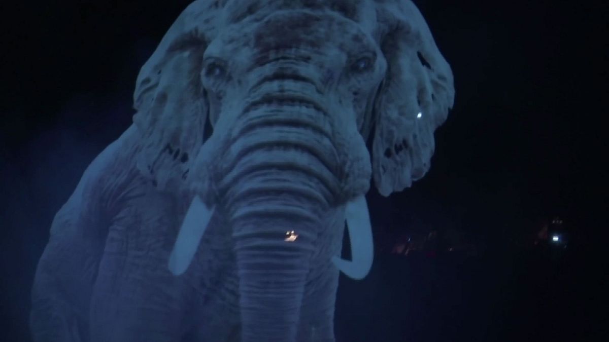 Watch: Germany plays host to world's first hologram circus