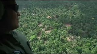 Megháromszorozódott az amazonasi erdők irtása