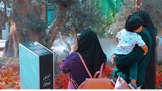 Dubai'de 'Gelecek', 'Kahve' ve 'Parfüm' müzelerinden Kur'an Parkı'na farklı seçenekler