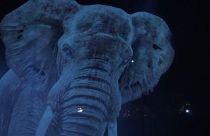 نخستین سیرک هولوگرامی جهان در آلمان